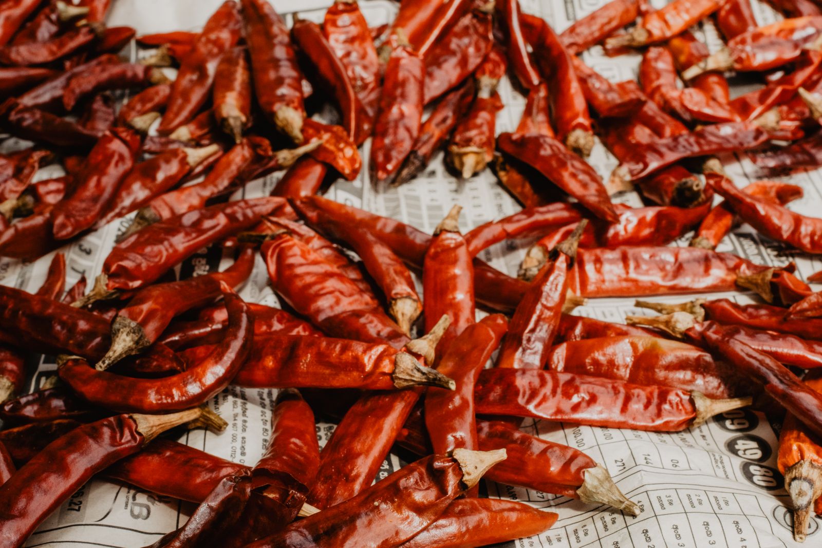 Dried guajillo and other whole red chiles used for the birria marinade