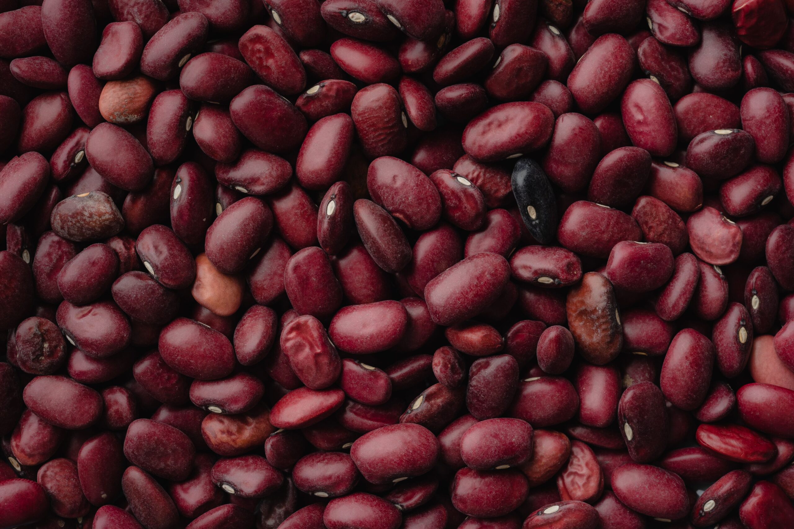 Raw red kidney beans, an ingredient for beef chili