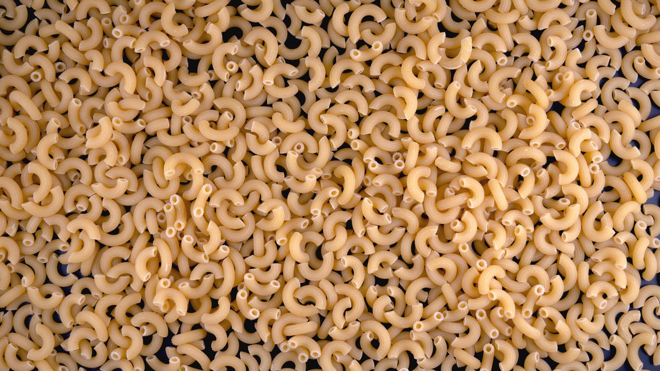 Uncooked elbow macaroni pasta, the base ingredient for mac and cheese